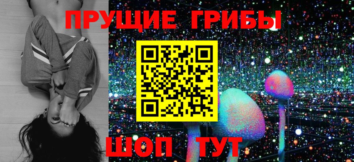Краснодар  Галлюциногенные грибы GOLDEN TEACHER  Псилоцибиновые грибы Magic Shrooms  Вход с VPN 