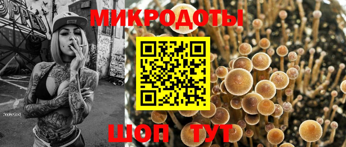 Псилоцибиновые грибы Cubensis Краснодар